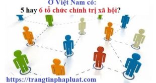 Ở Việt Nam có bao nhiêu tổ chức chính trị - xã hội