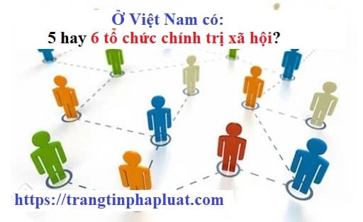 Ở Việt Nam có bao nhiêu tổ chức chính trị - xã hội