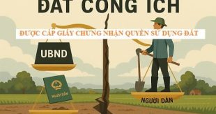 Đất công ích có được cấp bìa đỏ